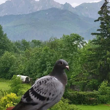 Topor Widokowy Z Placem Zabaw 아파트 코스실리스코