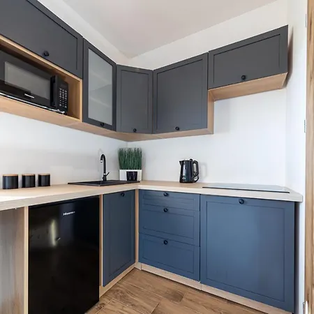 Topor Widokowy Z Placem Zabaw 아파트 코스실리스코