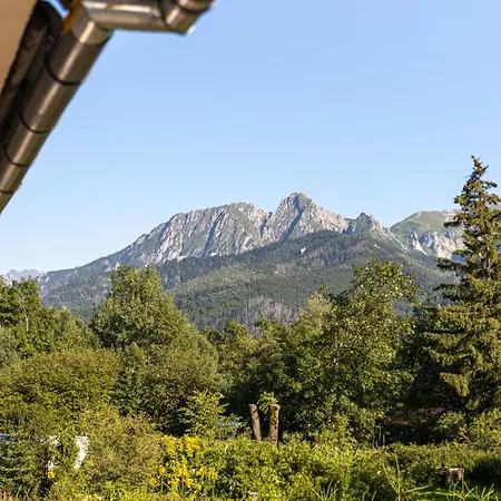 Topor Widokowy Z Placem Zabaw Kościelisko