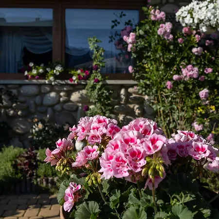 Topor Widokowy Z Placem Zabaw 아파트 코스실리스코